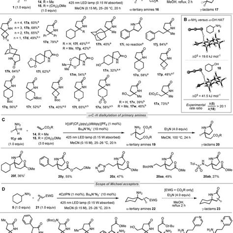 A Prior Art For Catalytic A CÀh Alkylation Of Primary Amines B This Download Scientific