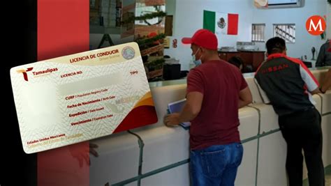 Cu Les Son Las Formas De Pago De Licencias De Conducir En Tamaulipas