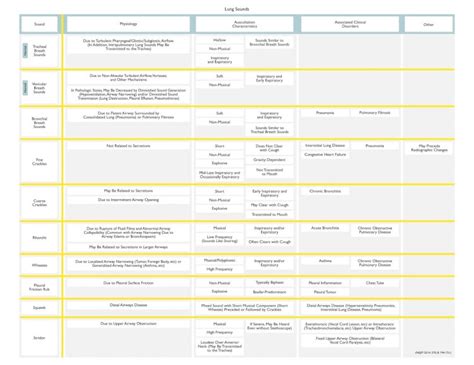 (PDF) PULMONARY PHYSICAL EXAM-2 · Tactile Fremitus and Whispered ...