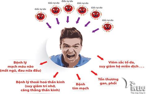 Sự Tức Giận Là Gì Làm Bạn Tức Giận? Cái Giá Của Sự Tức Giận - Website WP