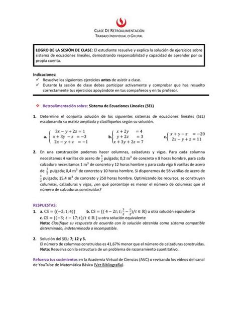 Retroalimentaci N Sistema De Ecuaciones Lineales Fernandita Udocz