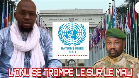 Abdoul Niang L Onu Se Trompe Sur Le Cas Du Mali Youtube