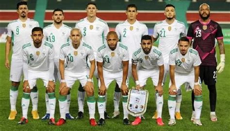 كأس أمم أفريقيا نجم الأهلي المصري يصدم منتخب الجزائر