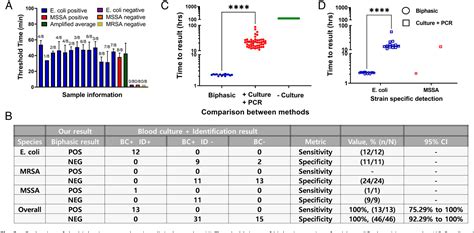 Pdf A Culture Free Biphasic Approach For Sensitive And Rapid