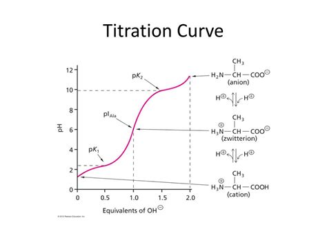 Ppt Amino Acids Powerpoint Presentation Free Download Id1842689