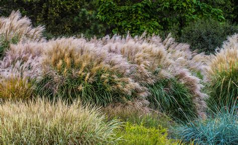 Specialty Gardens Minnesota Landscape Arboretum