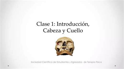 Anatom A Palpatoria Clase Cabeza Y Cuello Ppt