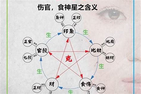 八字中食伤怎么看？怎样看一个人八字的食神和伤官 八字 若朴堂文化