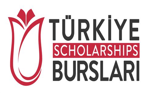 Türkiye announces fully funded scholarships 2024 for undergraduate students