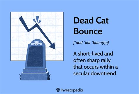 Dead Cat Bounce What It Means In Investing With Examples