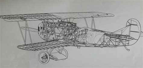 Fokker Dvii