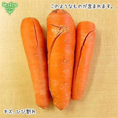 【楽天市場】訳あり にんじん 4kg 有機栽培 鹿児島県産 宮崎県産 化学肥料・農薬・除草剤不使用 規格外 わけあり B品 人参 有機jas