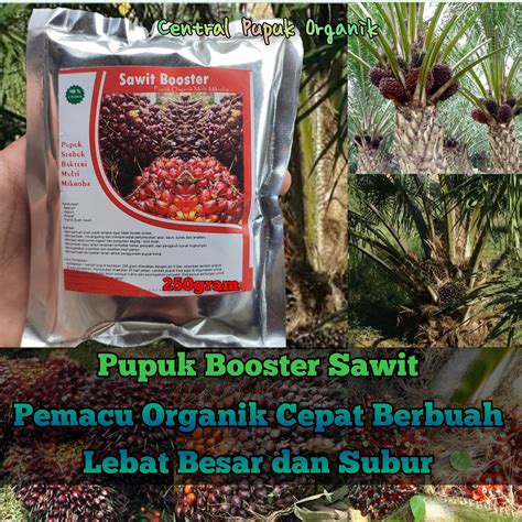 Pupuk Sawit Organik Perangsang Dan Booster Sawit Cepat Berbuah Lebat Pupuk Organik Penyubur