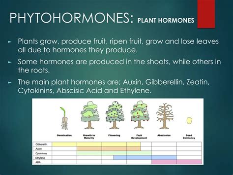 Plants Tropisms, Hormones Power Point.pptx.pdf