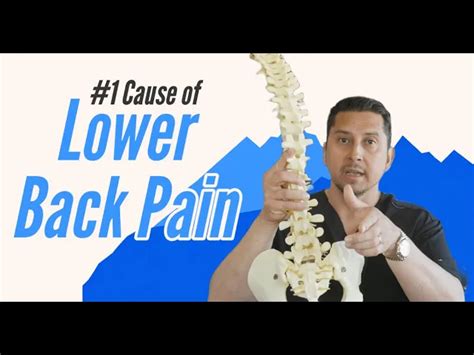 Leading Cause Of Lower Back Pain In Lubbock Tx Spine Chiropractic