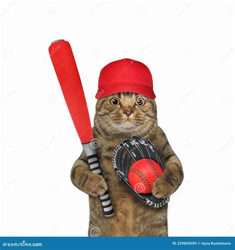 Cat Baseball Player Holds Red Bat Stock Image - Image of healthy ...