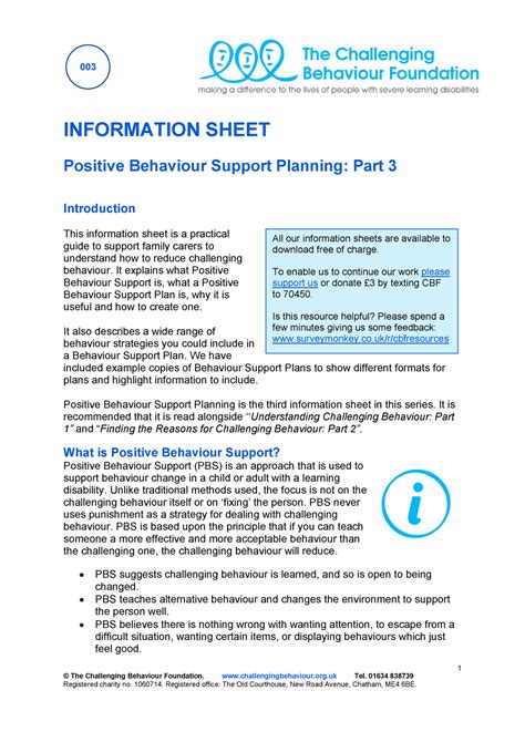 Positive Behaviour Support Planning © The Challenging Behaviour