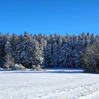 Wetter Winter Wetterprognose Und Wettervorhersage