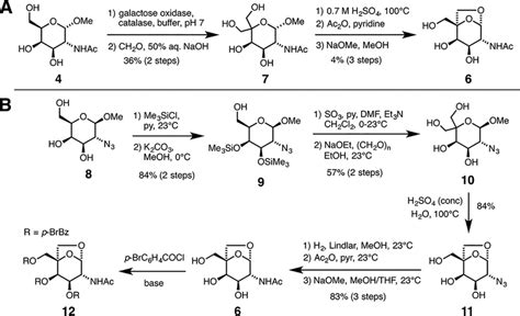 Initial A And Improved B Synthetic Routes To 6 Download Scientific Diagram