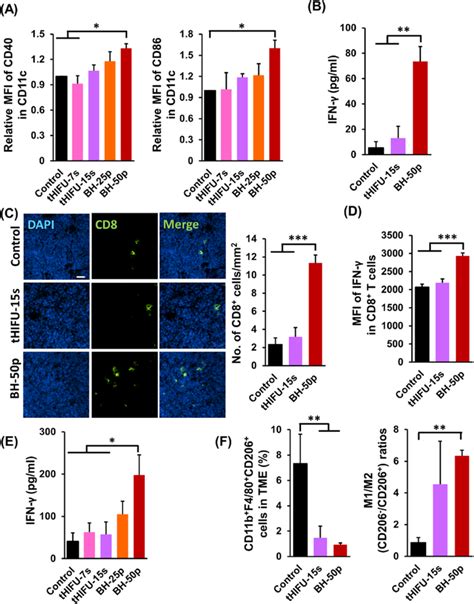 Bh Is Effective In Tnbc Tumor Model On Day T Tumor Model Mice