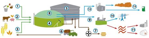 Complete Biogas Systems | Commercial Biogas Digester Systems