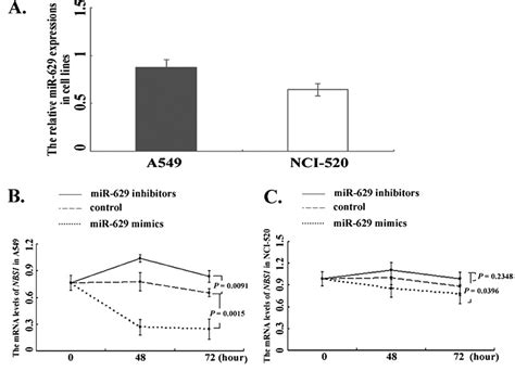 Figure From A Functional Polymorphism At Microrna Binding Site In