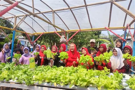 Pemkot Semarang Pastikan Pasokan Cabai Aman Ambil Langkah Konkret