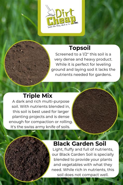 Topsoil Vs Garden Soil Vs Potting Soil Niesha Camp