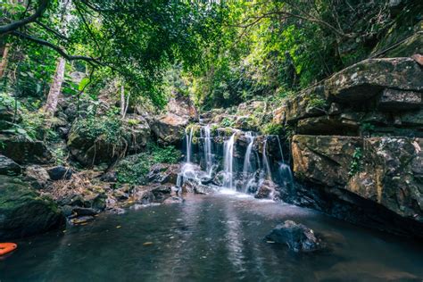 Phong Nha Botanic Garden Walking Tour Welcome To Quang Binh