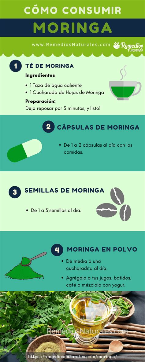 Moringa C Mo Consumirla Beneficios Efectos Secundarios Y