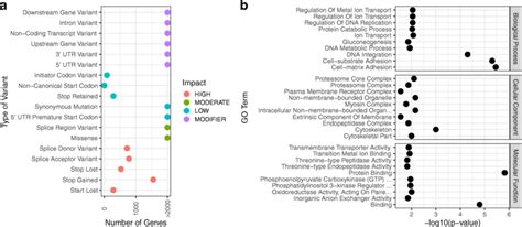 Annotation of genome-wide single-nucleotide variants (SNVs) and ...