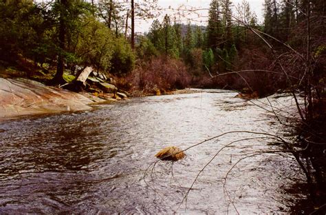 cosumnes river el dorado lake tahoe fim media office