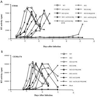 Replication Capacity Of Wild Type WT And Mutated Viruses In C8166