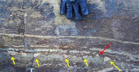 Detection Of 25 Billion Year Old Fossil Microbes Live Without Oxygen