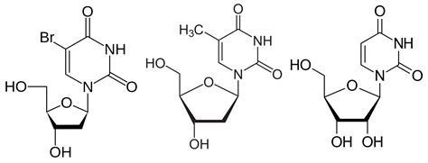 Kappa Light Chain Myeloma Wikipedia | Shelly Lighting