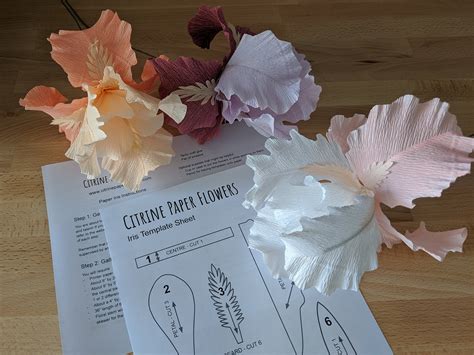 Downloadable Crepe Paper Iris Templatepdf Printable Etsy