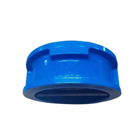 Ductile Cast Iron Dn200 Non Return Dual Plate Wafer Type Flap Check Valve With Cf8m Disc China