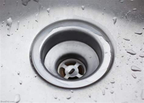 How To Clean Your Sink Drain Wallpaper Blog