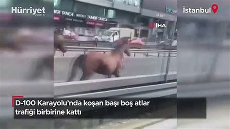 Stanbul Da Ba Bo At Trafi I Birbirine Katt Dailymotion Video