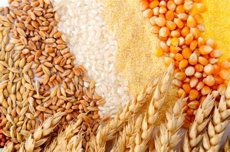 Cereal Seeds And Wheat Ears Stock Image Image 7595449