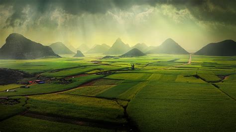 The canola fields, Luoping, Yunnan, China | Windows Spotlight Images