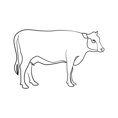 simple   drawing