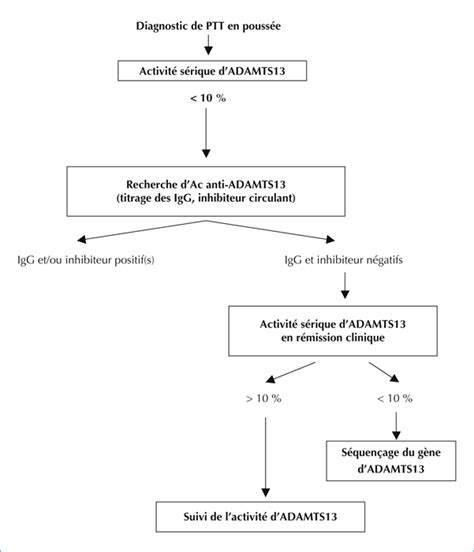 John Libbey Eurotext Médecine thérapeutique Microangiopathies