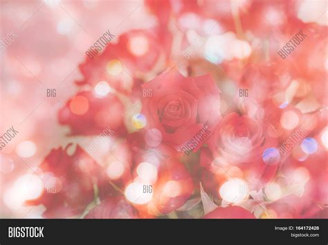 Abstract Roses Bokeh Image And Photo Free Trial Bigstock