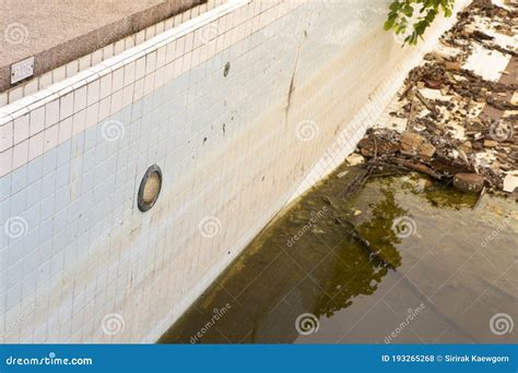 Abandoned Swimming Pool With Dirty Water And Garbage Stock Photo