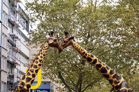 Stadtfest Karlsruhe Der Letzte Tag In Bildern