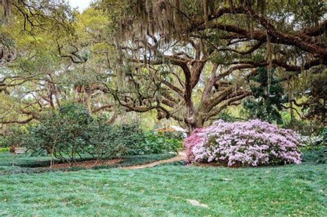 Washington Oaks Gardens State Park In Palm Coast Fl Americas State