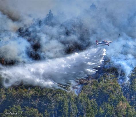 El Gobernador Solicitó Medios Aéreos A Nación Para La Lucha Contra Incendios Bariloche Opina