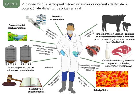 El rol del MVZ en producción animal