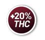 What Is A High Amount Of THC For Cannabis Dutch Passion